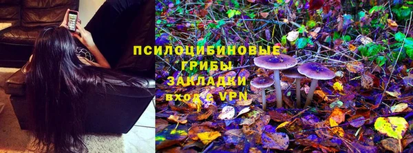 стафф Липки