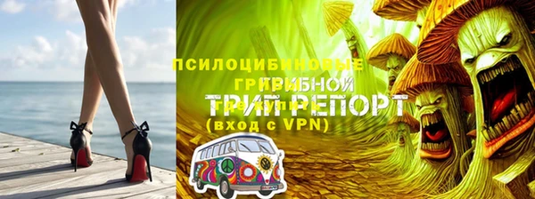 spice Лиски