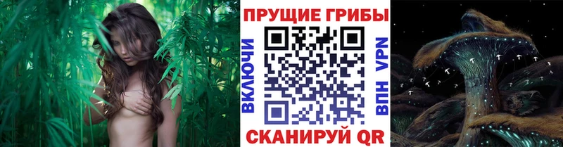 Псилоцибиновые грибы мухоморы  как найти закладки  Железногорск 