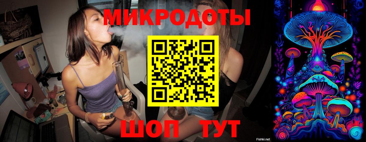 Псилоцибиновые грибы Cubensis  Железногорск 