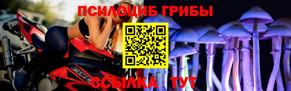 Галлюциногенные грибы Cubensis Железногорск